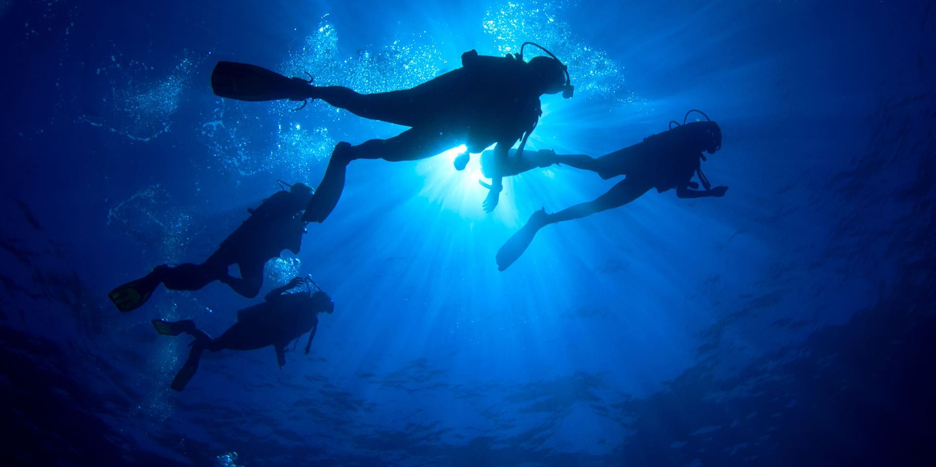 京都のダイビングライセンスはリュウムへ