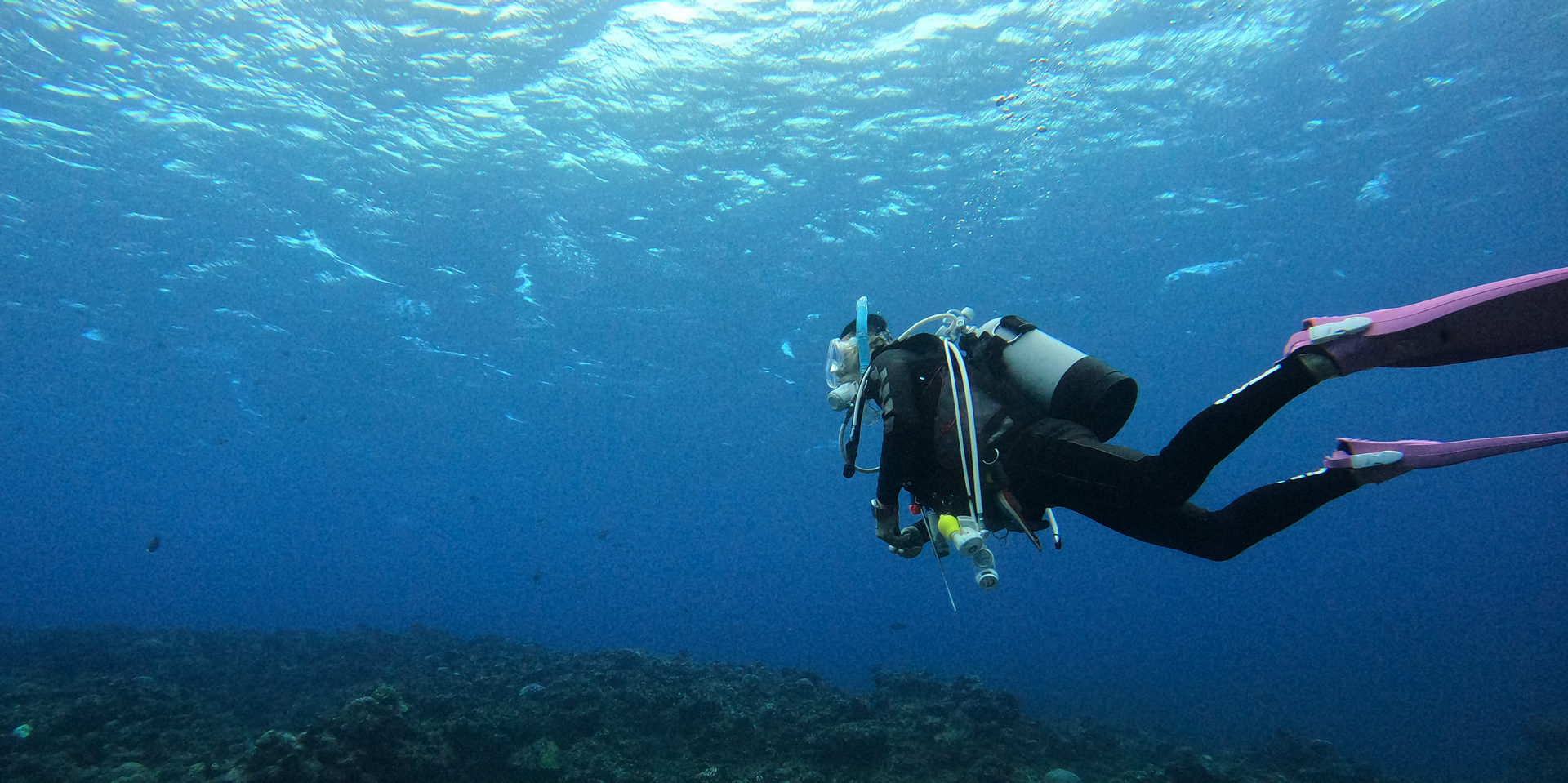 ダイビングスクールも楽しくはじめよう！