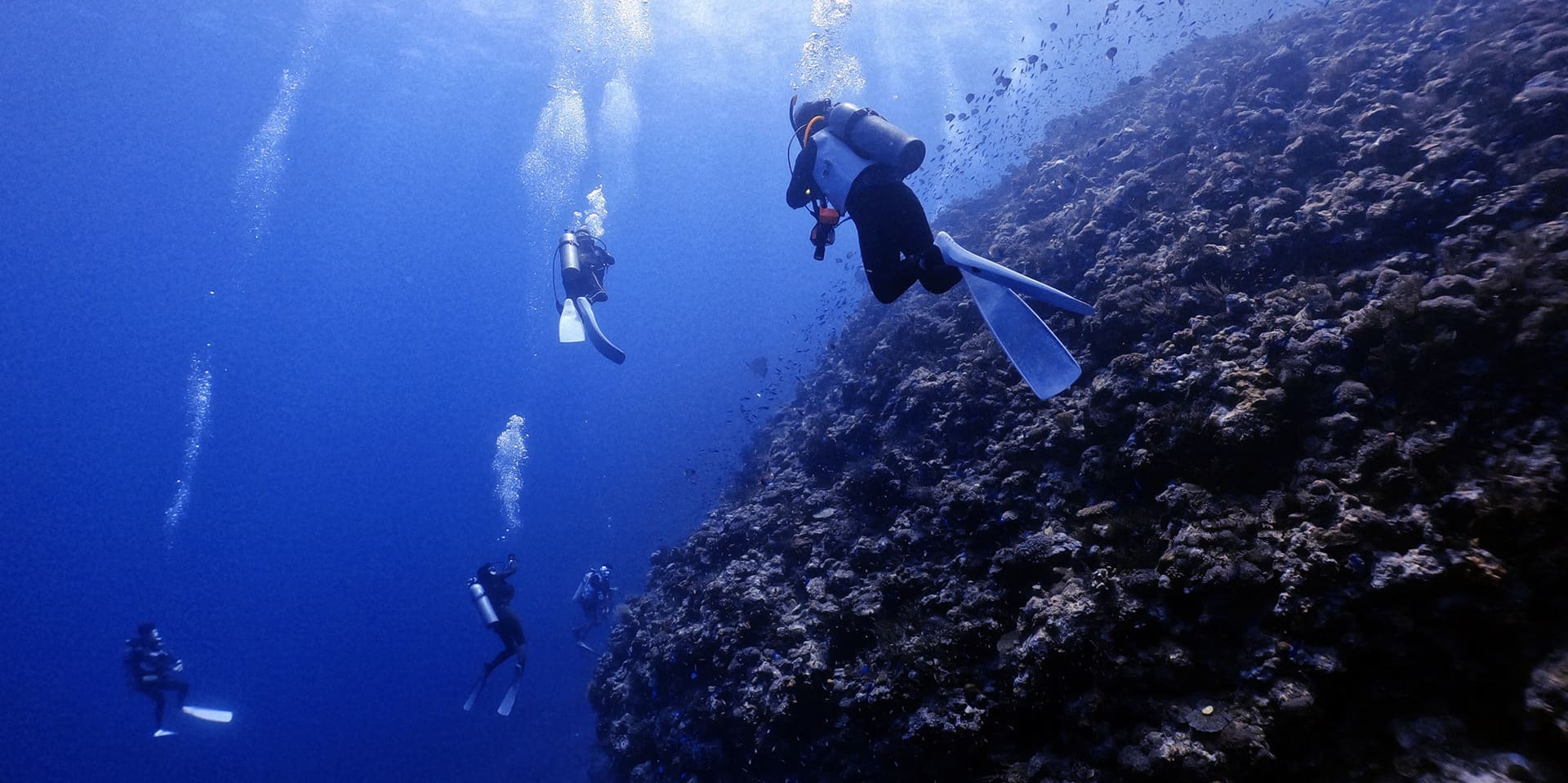 ダイビングスクールも楽しくはじめよう！