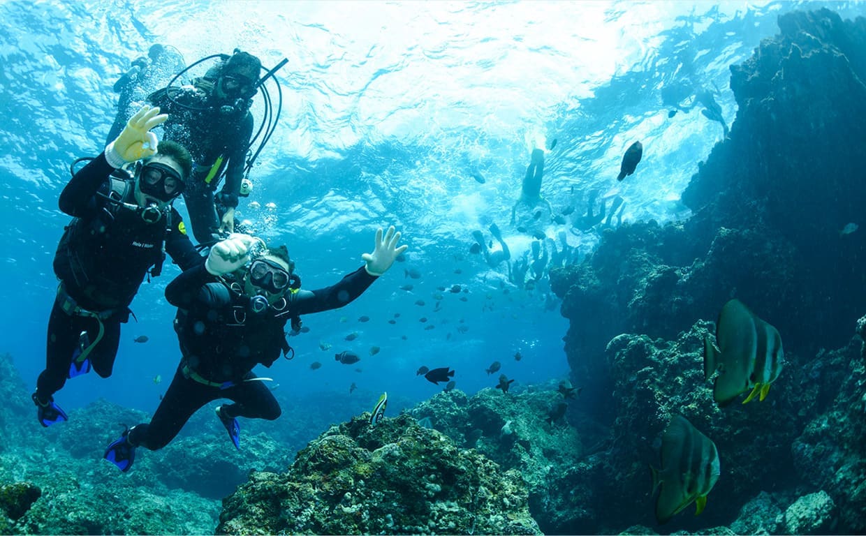 体験ダイビング