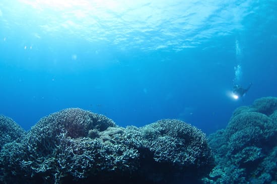 ご予約・お問い合わせ