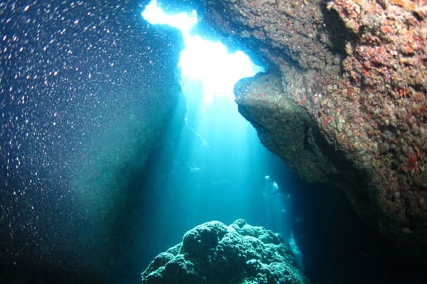 ダイビングポイント　青の洞窟