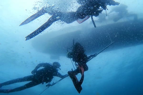 沖縄水島ダイビング
