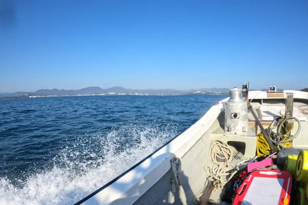 真栄田岬ダイビング