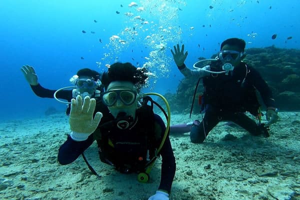 白浜ボートダイビングの景色