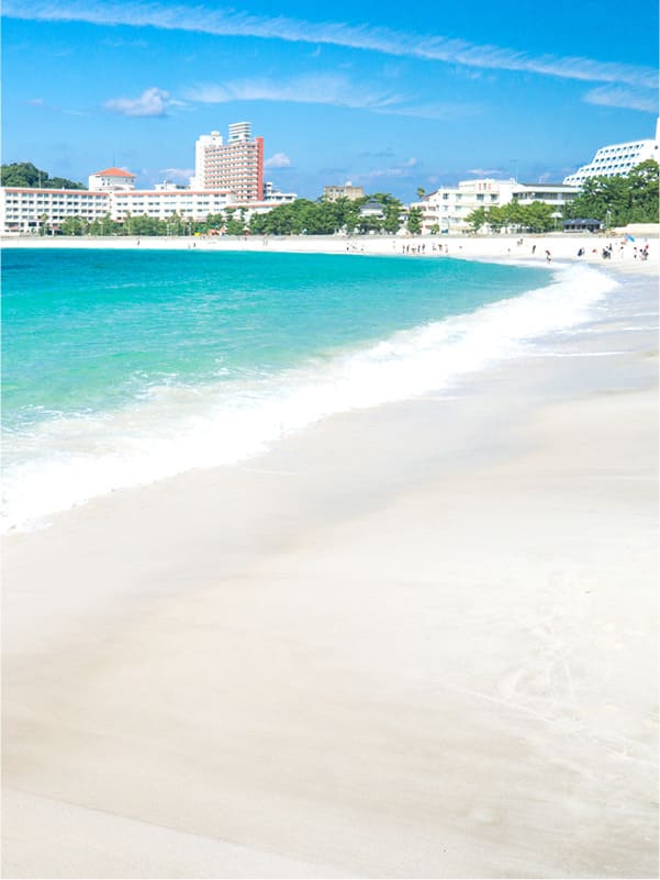 白浜体験ダイビングツアー