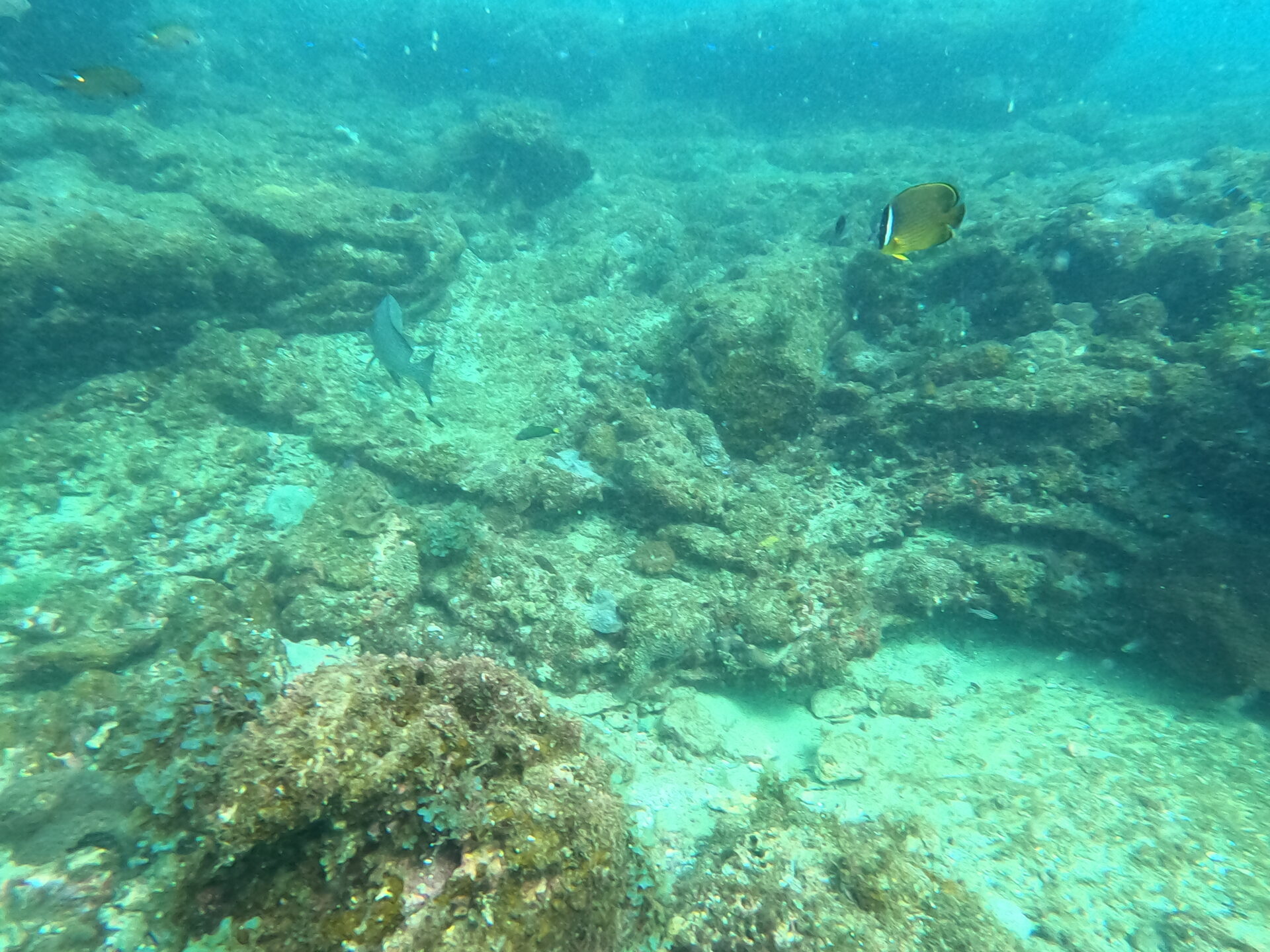 11/28白浜日帰り