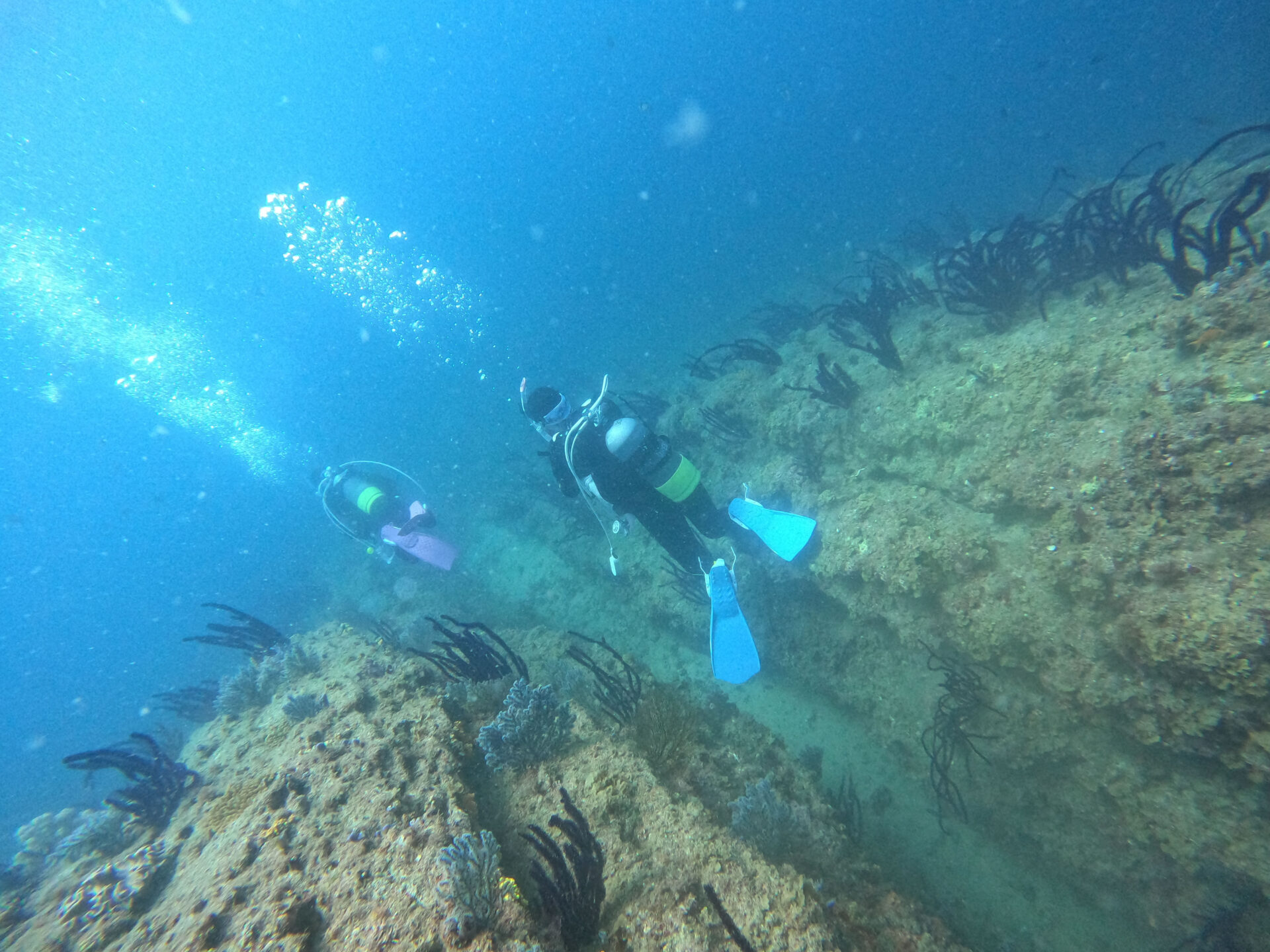 ディープダイビング