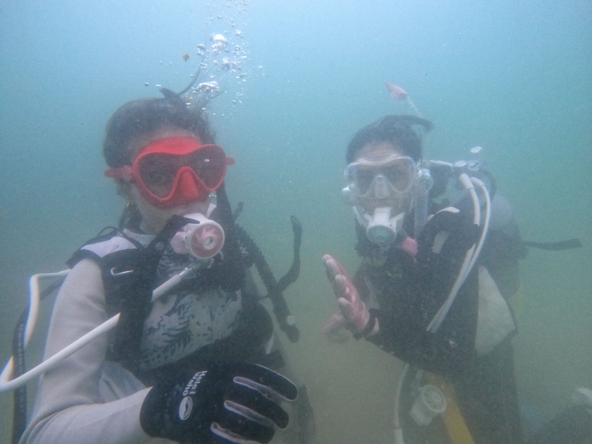 水中での笑顔のゲストたち