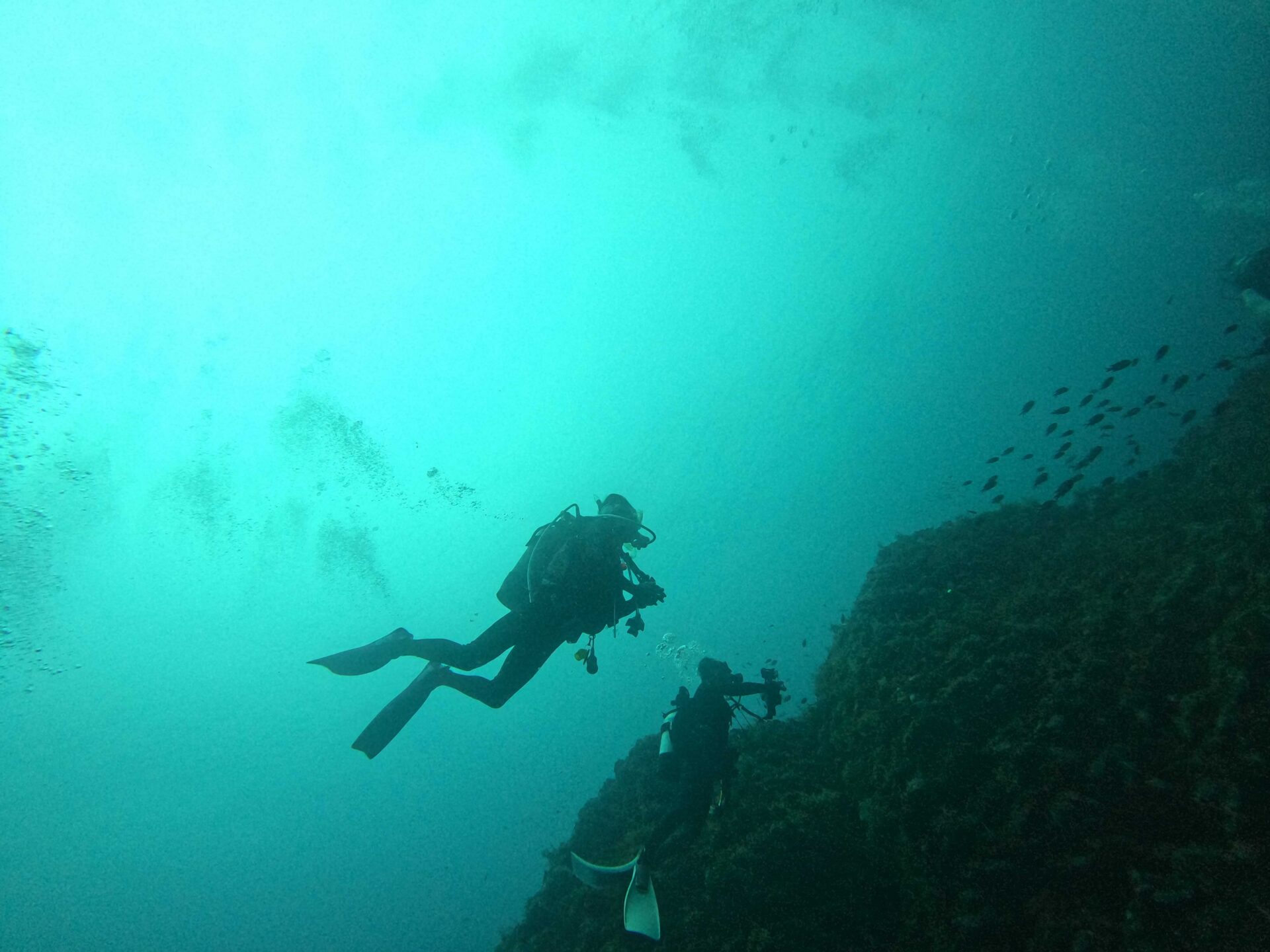 冠島の美しい水中風景3