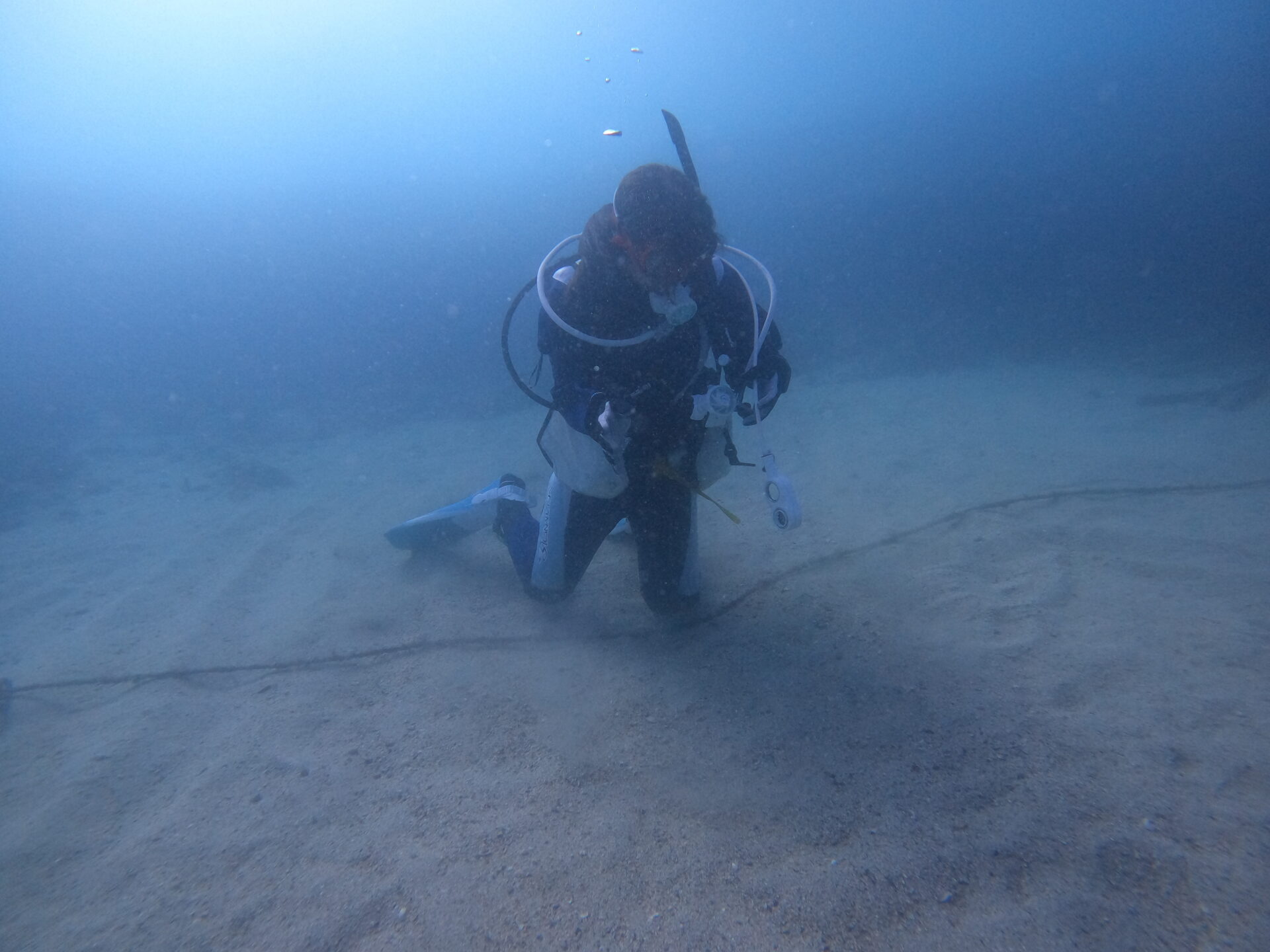 オープンウォーター講習ホバーリング