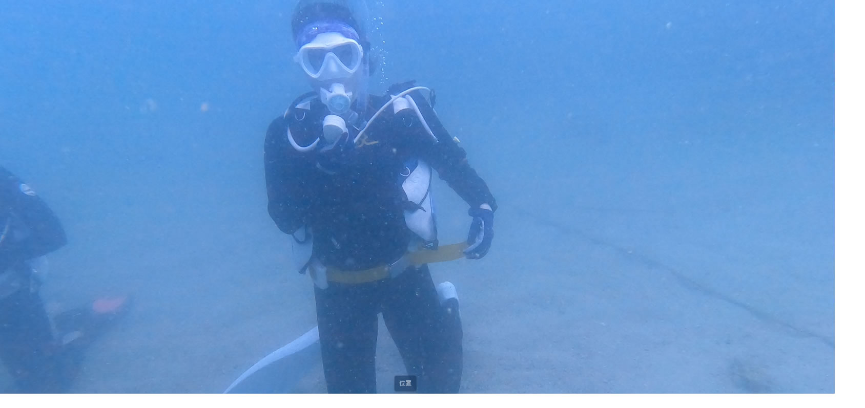 白浜の水中でダイビング講習を楽しむ参加者