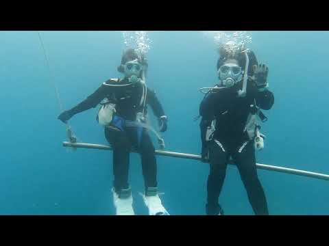 2026年5月27日、白浜の水中で並ぶ2人のダイバー