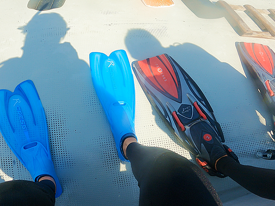 コンセプトイメージ